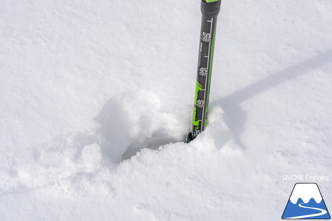 サッポロテイネ｜久しぶりの降雪で粉雪コンディション復活！ゲレンデ上部、2本の中斜面が絶好調(*^^)v